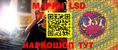 трава Новозыбков